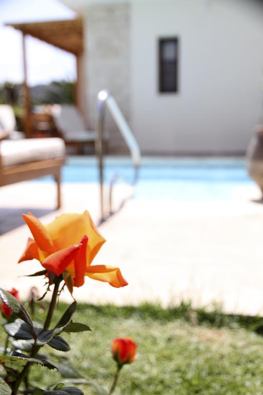 Eve Pissouri Veriko Villa Pokoj fotografie